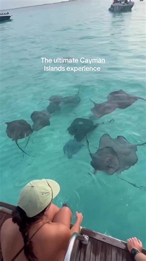 The coolest experience in the Caymans🤙🏼 . #experience #stingrays #stingraycity #marinelife #caymanislands #grandcayman
