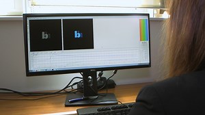 Measuring Interactions between Fluorescent Probes and Lignin in Plant Sections by sFLIM Based on Native Autofluorescence