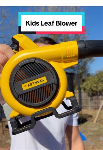 Kids Leaf Blower Fun: Family Yard Activities