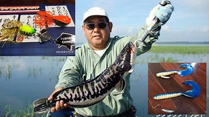 タイの釣りで使ってる道具あれこれ その②チャドー釣り編／コウちゃん