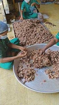 "கருமந்துறை புளி " l Karumandurai Tamarind #tamil#farming#tamarind#food#womenfarmer#agriculture