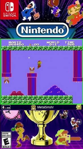 Divemaster S Rank (36.65) - Nintendo World Championships NES Edition