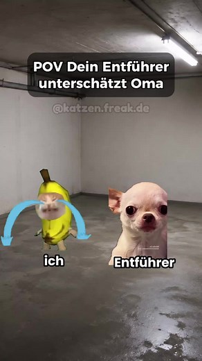 Deswegen sind Omas die besten – lustiges Katzenvideo
