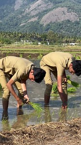 2.9K views · 58 reactions | A Day in the Field: Rice Transplanting with BSc (Hons.) Agri Students | Farmer's Experience! #Agriculture #FieldWork #BScHonsAgri #agriculturesuccess #agro #agriculture #bestplacement #bestuniversity #bestuniversityinindia | Karunya Institute of Technology and Sciences - Deemed University | Facebook