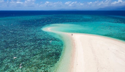 Mackay Coral Cay Outer Reef Tour • Sailaway Port Douglas