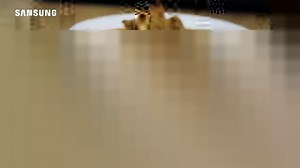 Samsung Microwave grill - samsung microwave oven: grill fry Samsung Microwave grill - enjoy crispier and healthier food with samsung microwave oven. how to make pizza in grill mode in samsung microwave. samsung mg23k3575ak 23 litre microwave with grill. samsung 21 l convection microwave oven, samsung microwave grill setting, samsung microwave grill stand, samsung microwave grill manual, samsung microwave grill 23l, samsung microwave grill 23l mg23k3505ak/se, samsung microwave grill mg23k3575aw, 