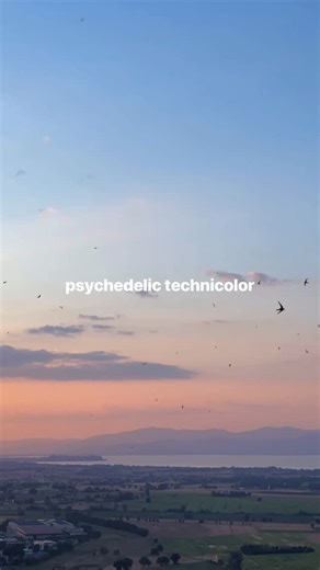 LANY | destiny 🪽 | Instagram