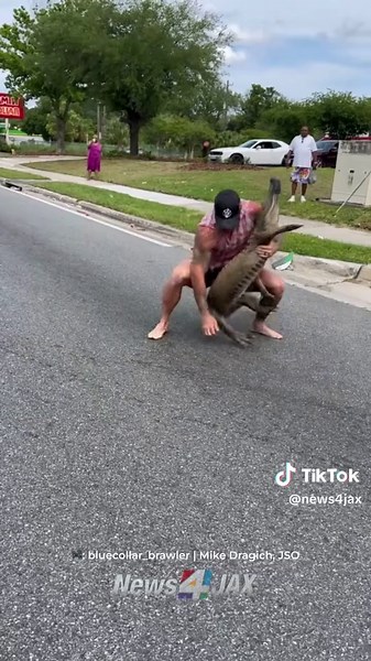 No shoes, no equipment, NO PROBLEM for our #FloridaMan friend @bluecollar_brawler. 🐊 Dragich, a licensed Florida alligator trapper in #Jacksonville, captured and removed an 8-foot alligator wandering the streets of Downtown Jacksonville in the most Florida way possible. To see more wild videos and interviews with Dragich, click the 🔗 in our bio. #alligator | Do not try this at home. #viral