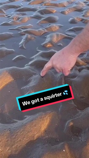 Exploring Gaper Clams and Fishing Adventures