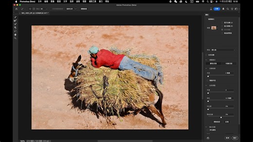 【大雷视界】PS知识点课件｜调整画笔新功能 课件/Lex。#摄影 #ps后期 #知识点课件