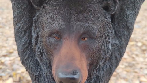 American Black Bear Side Table Pedestal End Table Stool Resin Bear Statue Hand Painted Sculpture Home Office Living Room Decor