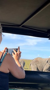 Tanzania Wildlife Safari Magic Step into a world where every sunrise wakes the wild and every moment tells a story. From lion prides ruling the plains, elephants strolling ancient paths, to giraffes painting the skyline Tanzania’s wildlife is a living wonder. With @tanzania_inside_and_safari we bring you closer to nature’s greatest show, turning your wildlife safari dreams into reality. Book your adventure today and witness the untamed beauty of Tanzania’s wild. . . . . . . . . . . . . . . . . .