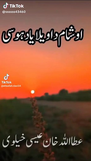 ssssss (@ssssss43460)’s videos with original sound - ssssss