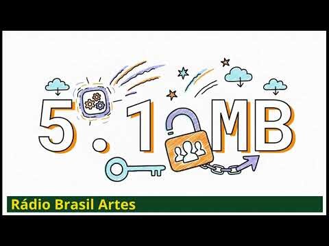 RBA Engineering for Brazil s Digital Divide Paulo Salomao IArtium