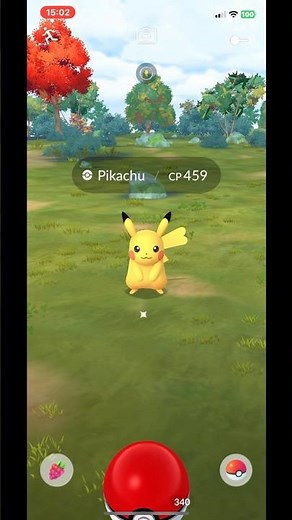 Pokémon GO. - Female Pikachu. #Pokémon #Pokédex #Pikachu