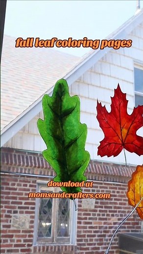 Fall leaf coloring pages! #adultcoloring #fallcrafts #alcoholmarkers