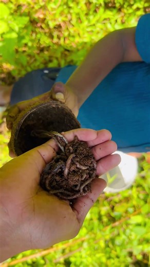 പനവടി+മണ്ണിര+കുളം=വരാൽ 1-💯Result 🔥😂 | hidden sportfishing part 2 #fishingvideo #keralafishing