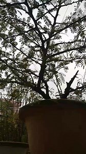 Hello | Gaming Videos