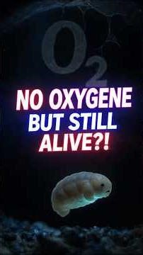 Animals That Can Live Without Oxygen 🫁❌