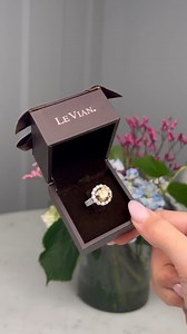 We have a #sweet surprise in this jewelry box! Treat yourself to this decadent, mouthwatering Chocolate Diamond. 🤎 Shop #chocolate: https://levian.co/3JVUhHk #chocolatediamonds #diamonds #carats #jewellery #jewelry #accessories #jewelrydesigner #ring #ringoftheday #luxury #chocolatelover #delicious #engagementring | LeVian