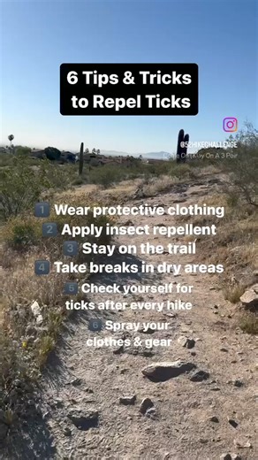 6 Tips & Tricks to Repel Ticks While Hiking: It’s officially tick...