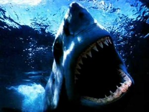 TF1- le générique du JT inspiré des dents de la mer !