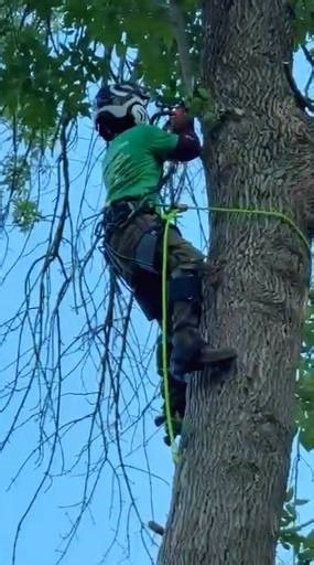 🪵🌲 Experience Makes the Difference 🌲🪵 Tree removal isn’t just about cutting; it’s about control, planning, and expertise. Watch as our team safely removes this tree using proven techniques and professional equipment, ensuring a smooth and damage-free result. Trust KD Tree Service for reliable, expert tree care. ✔️🌳 📞 Call today #KDTreeService #TreeRemoval #TreeService #ProfessionalTreeService #CertifiedArborist #TreeCare #TreeExperts #TreeRemovalExperts | KD Tree Service Columbia