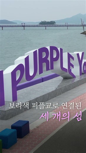 [요약본] 바다 위 보라빛 세상 퍼플섬 #신안군 #관광 #여행