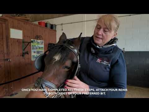 Basic Harnessing Up and Putting to for carriage driving.