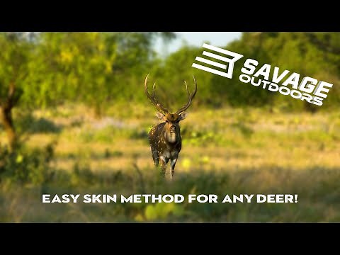 Quartering a Deer the Easy Way