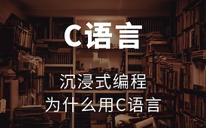C语言使用场景-沉浸式编程教学
