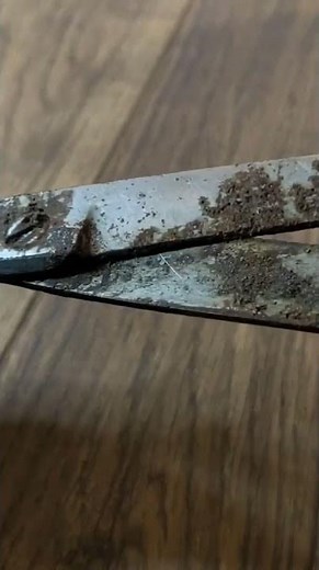 Rust has eaten into these scissors. #restoration