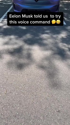 2.1M views · 33K reactions | I can’t believe Tesla hid this voice command  #tesla #modelx #explore | Tesla Flex | Facebook