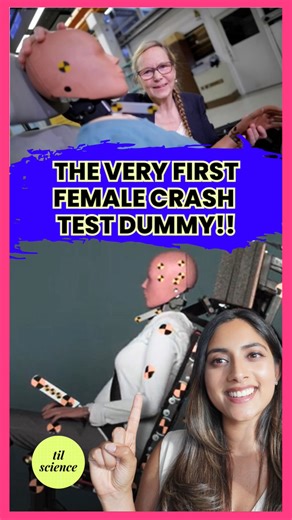 Dr. Harini Bhat (PharmD) | Science Storyteller | This is the world’s first ever anatomically correct FEMALE crash test dummy and it’s a long time coming 🥲 Astrid Linder, a motor vehicle... | Instagram