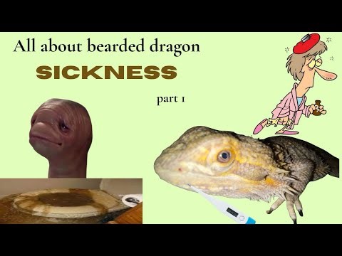 All about bearded dragon health problems (part 1)