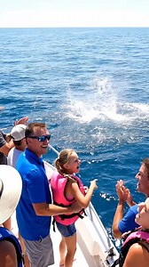 Family’s Ocean Trip Turns Magical When a Dolphin Appear | Ocean World