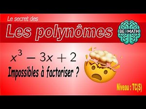 Polynômes (TCS) : Factorisation expliquée simplement + Cours complet