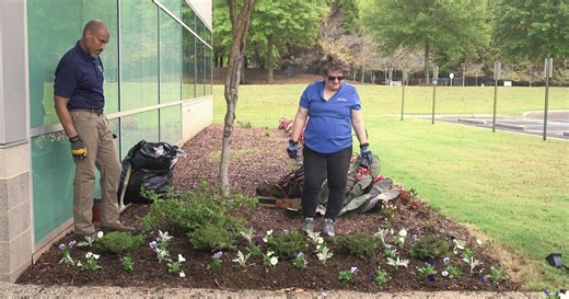 The Family Plot:Planting Ornamental Kale, Dusty Miller, and Pansy & Bats Season 16 Episode 31