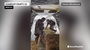 Aerial hay delivery for stranded cattle in California: California officials received "multiple reports of cattle dying off" due to being stranded by recent winter storms. In response, they delivered piles of hay via helicopters to save them. | AccuWeather