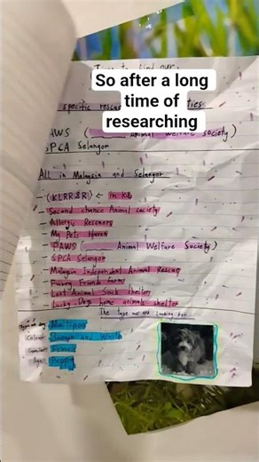 her name is Roxy #dogs #puppy #puppylove #cutebaby #cuteanimals #fypシ #petlover #pets