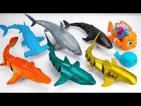 Ultimate Zuru Robo Alive Aquarium With Huge White Shark, Mosasaurus, Nemo Fish ASMR 🐠 Review Toys