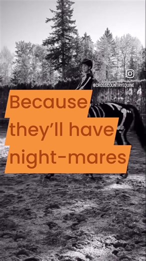 Why can’t horses watch horror films? They’ll have nightmares. 💭😂 Tag a friend who tells worse jokes than this 👇 #CrossCountryEquine #HorseHumor #FunnyReels #HorseJokes #TrailLife #CowboyHumor #EquestrianLife #fyp #viral | Mark Patterson