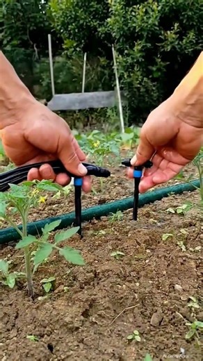 Best Sprinkler Valve Water Irrigation System for Gardens & Farms |GreenAgrix