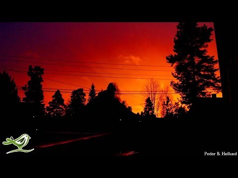 Beautiful Harp Flute Violin Piano Cello Music | Instrumental Music Playlist