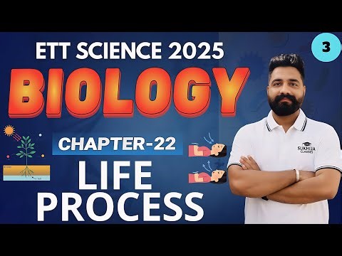 Life Processes Chapter for Punjab Teacher Exams | Full Concept Drill |