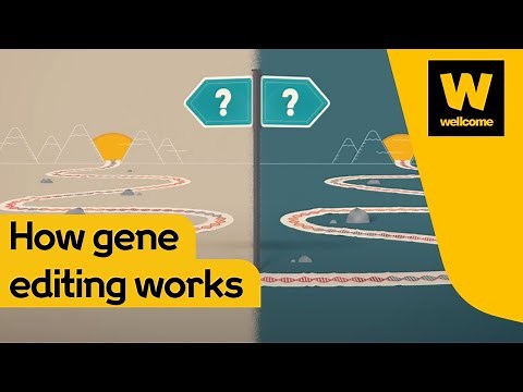 What is gene editing and how does it work? | Wellcome