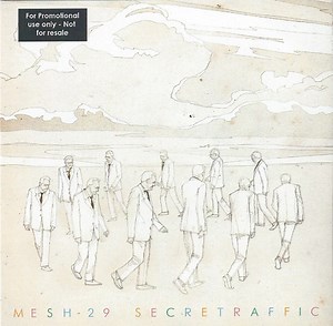 Mesh-29 - Secret Traffic