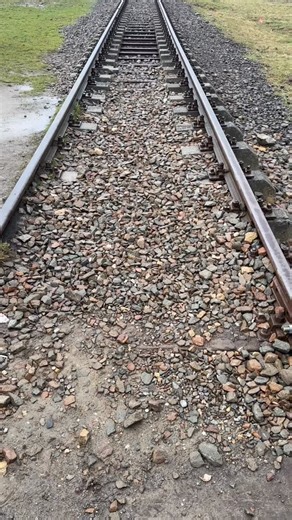 Eighty-one years ago, Auschwitz was liberated, exposing the scale of an industrialized system of murder. More than one million people deported to Auschwitz were murdered there. Across Europe, six million Jews were systematically persecuted and exterminated during the Holocaust. Today, on Holocaust Remembrance Day, we pause to remember the victims and to honor the survivors. We remember. We bear witness. Never again. #ww2 #ww2history #wwii #holocaust #holocaustremembranceday | Joël Stoppels Battl