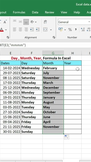 Learn DAY, MONTH & YEAR Functions in Excel #exceltutorial