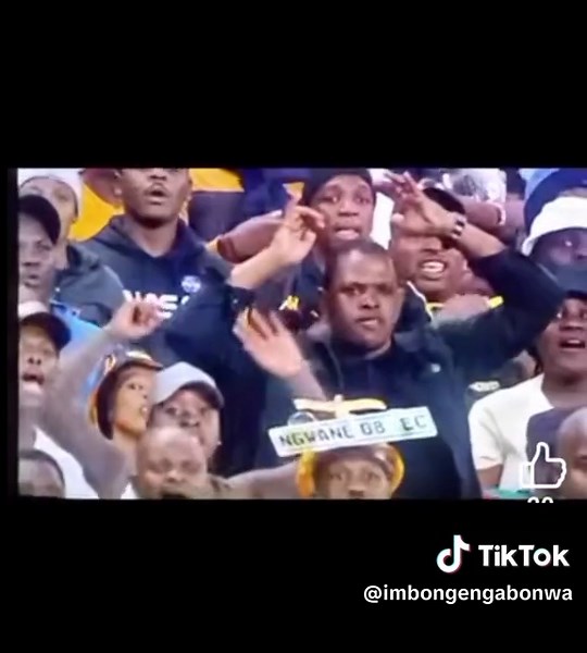 Silva goal kaizer chiefs 1-0 Arrows